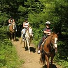 Riding trails abound in the Lakes Region of New Hampshire.